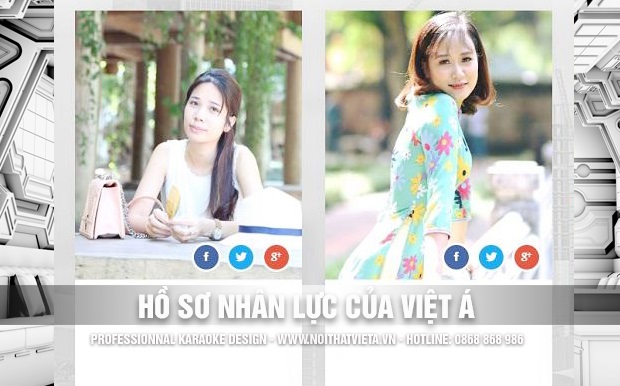 Hồ sơ nhân lực của Việt Á Group