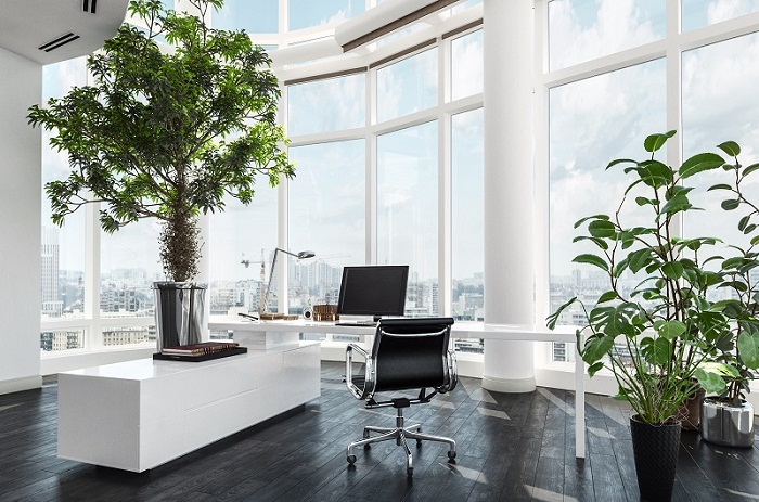 Mẫu thiết kế nội thất văn phòng mang phong cách Eco